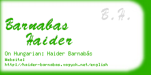 barnabas haider business card