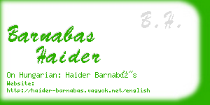 barnabas haider business card